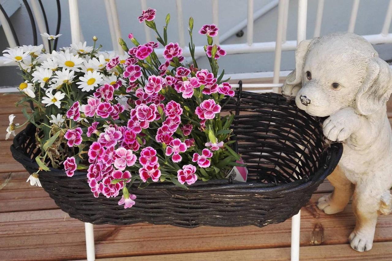 Gorooms Vanda Exteriör bild